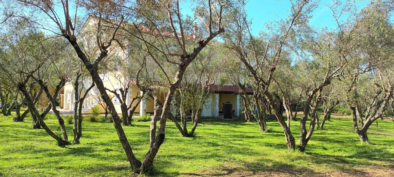 Apartamento Antonios Olive Garden Acharavi Kerkyra Exterior foto
