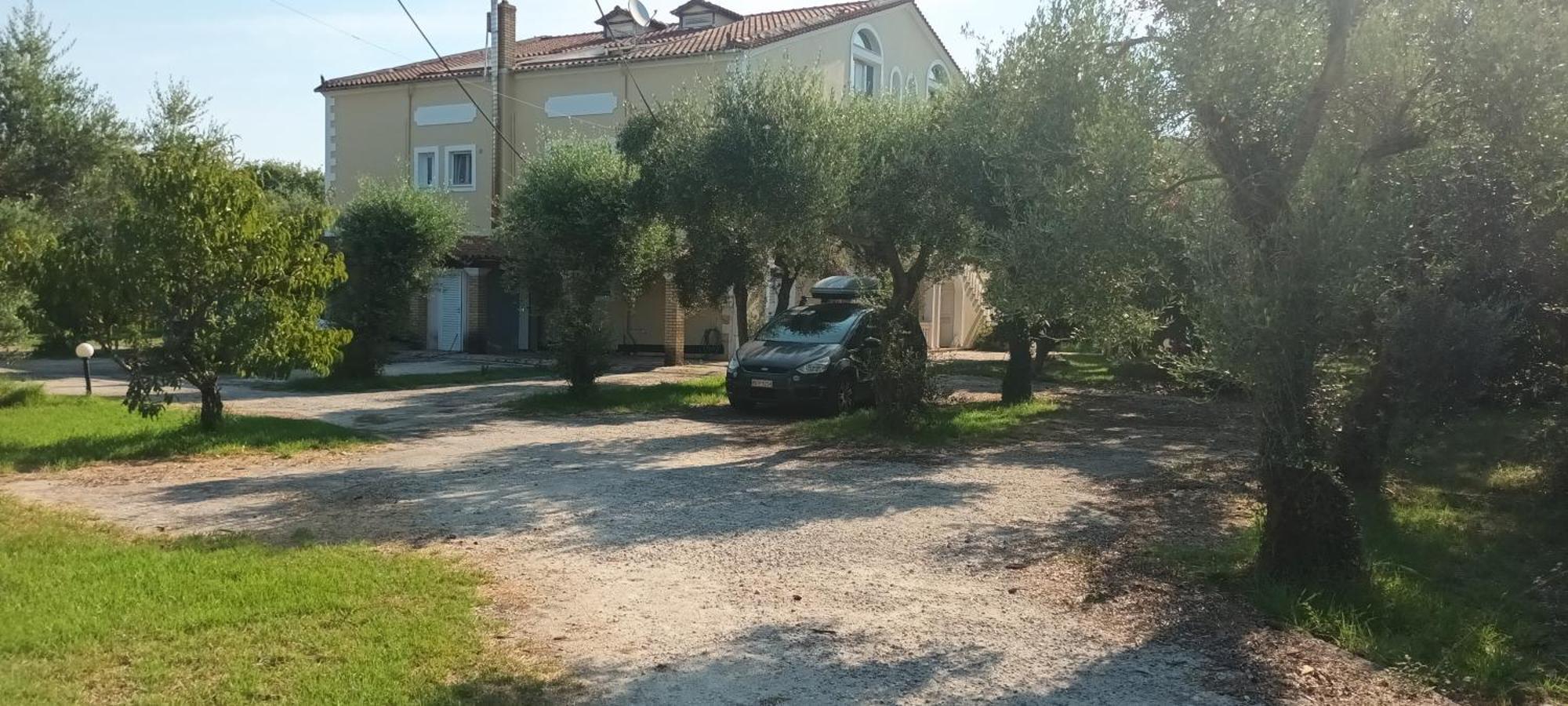 Apartamento Antonios Olive Garden Acharavi Kerkyra Exterior foto